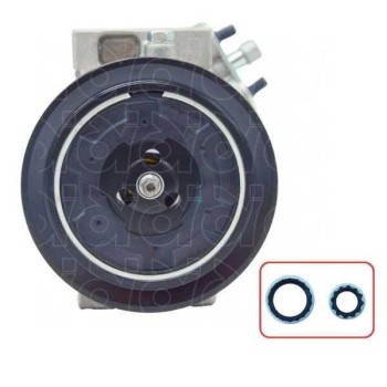COMPRESOR ESPECIFICO 12 V